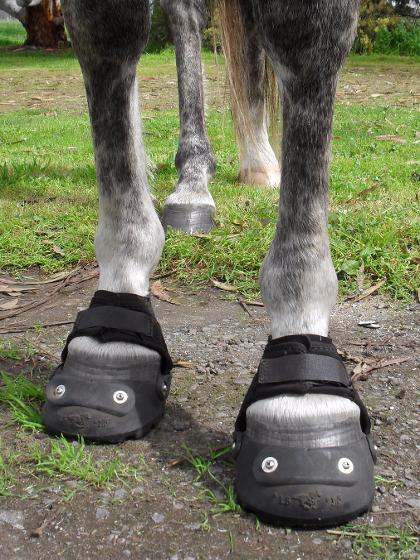 Abscess boot for outlet horses